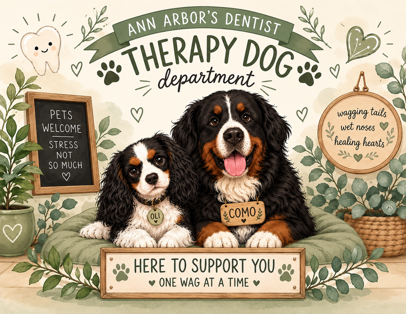 The Comfort Crew at Ann Arbor's Dentist